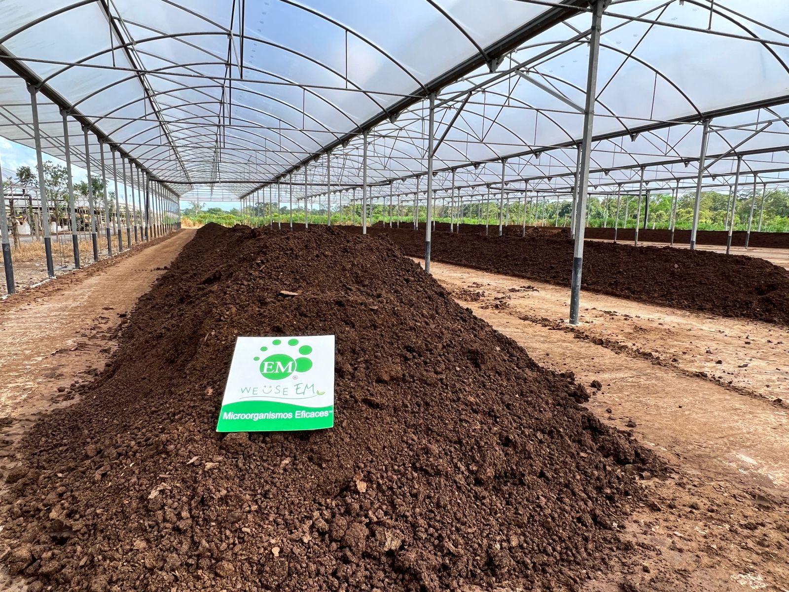 Red Chilena de Bioinsumos y Biopunto: avances en agricultura regenerativa